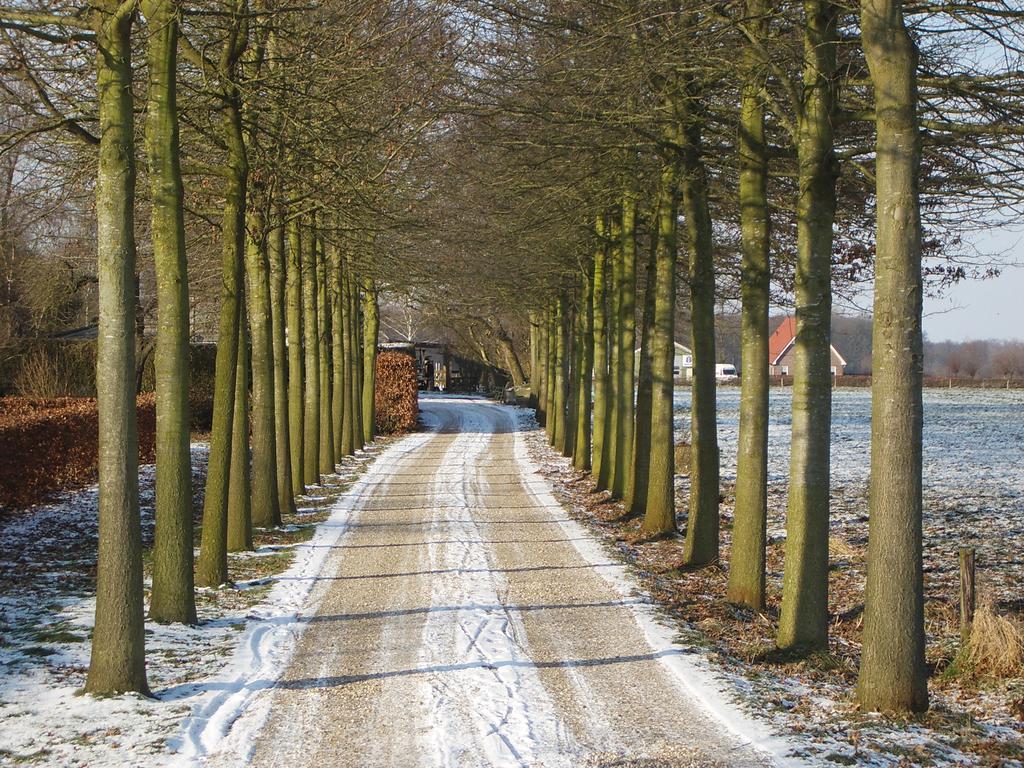 B&B Atelier Thierry Voorst Gem Voorst Exteriér fotografie